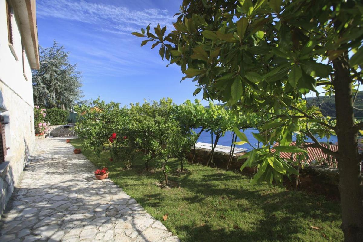 Apartments Magnolia Rabac Zewnętrze zdjęcie